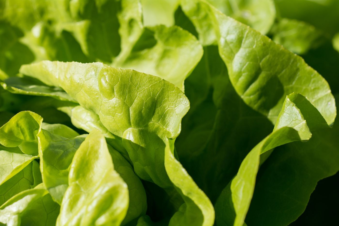 Produits alimentaires