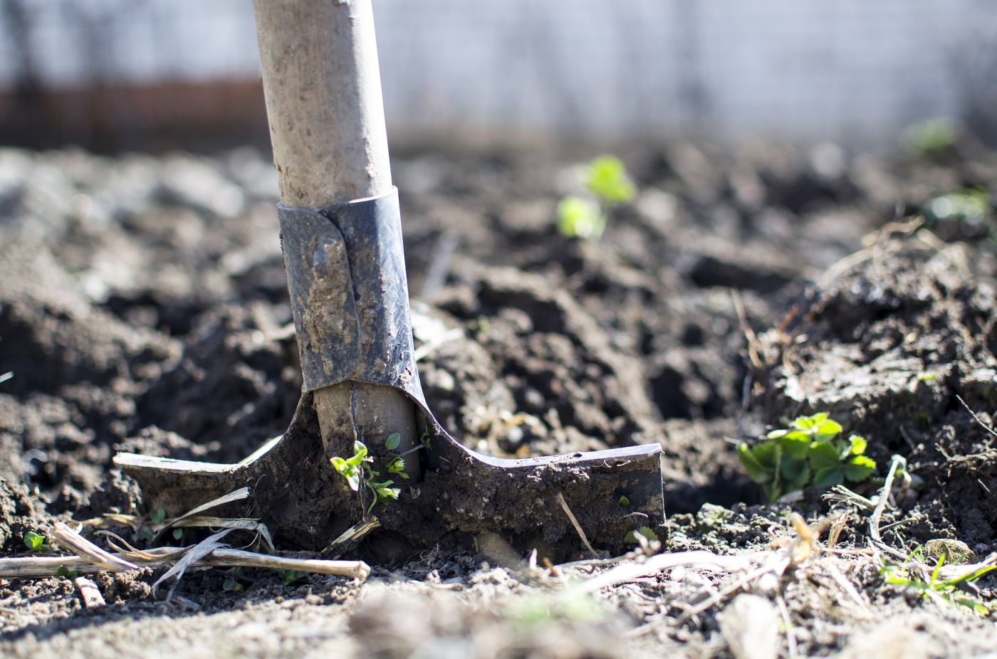 Entretien des espaces verts et extérieurs