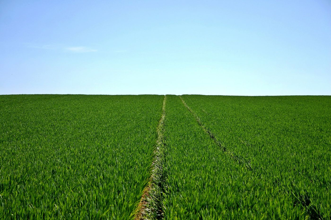 Agriculture