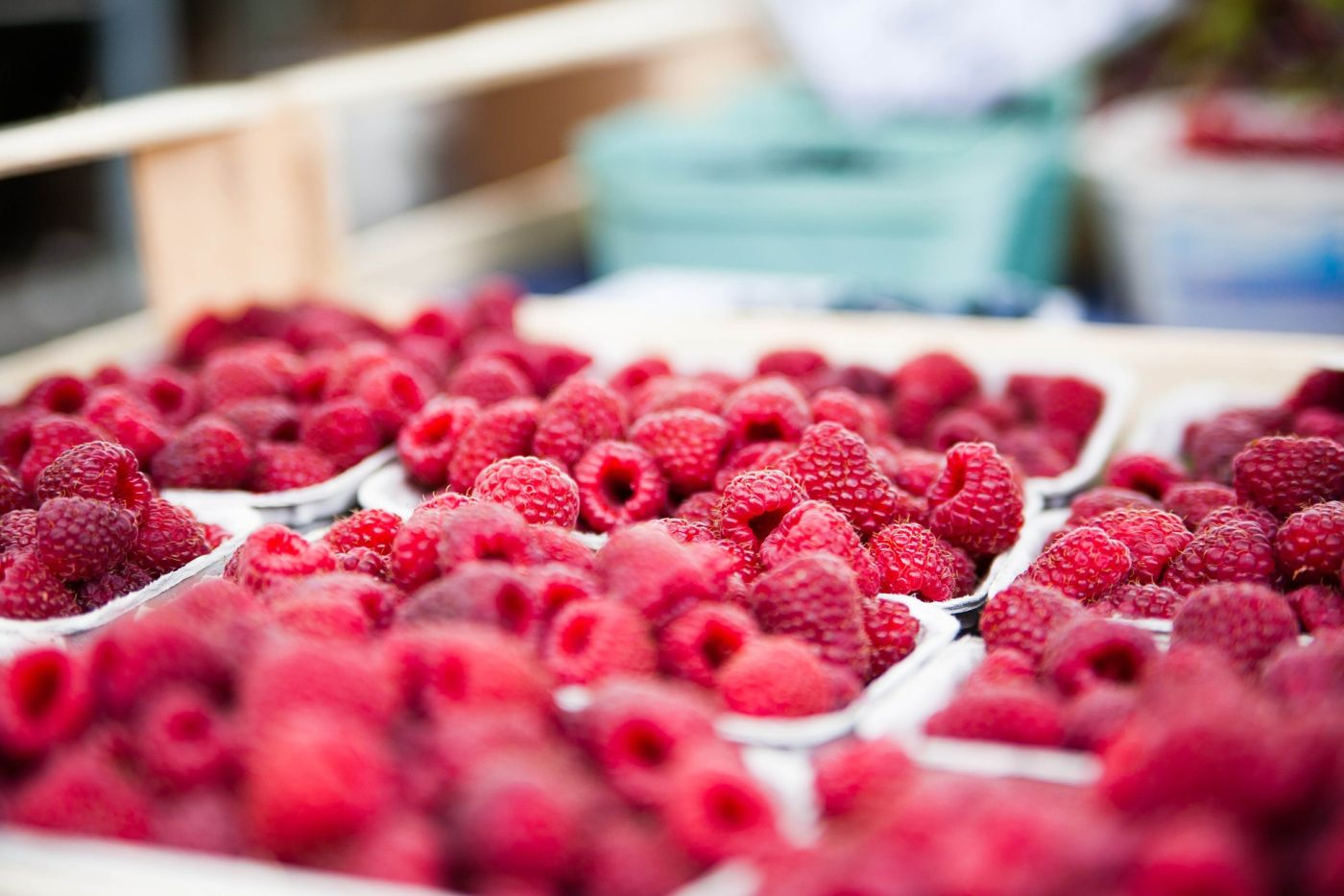 Conditionnement alimentaire