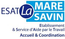ESAT LA MARE SAVIN (ESAT), 78190 Trappes (Yvelines)