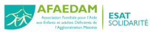 ESAT Solidarit&eacute; (ESAT), 57000 Metz (Moselle)