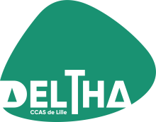 ESAT MUNICIPAL DELTHA LILLE (ESAT), 59000 Lille (Nord)