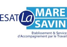 ESAT LA MARE SAVIN (ESAT), 78190 Trappes (Yvelines)
