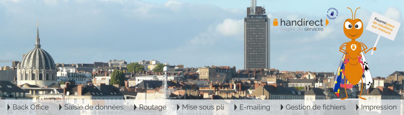 HANDIRECT NANTES (EA), 44800 Saint-Herblain (Loire-Atlantique)