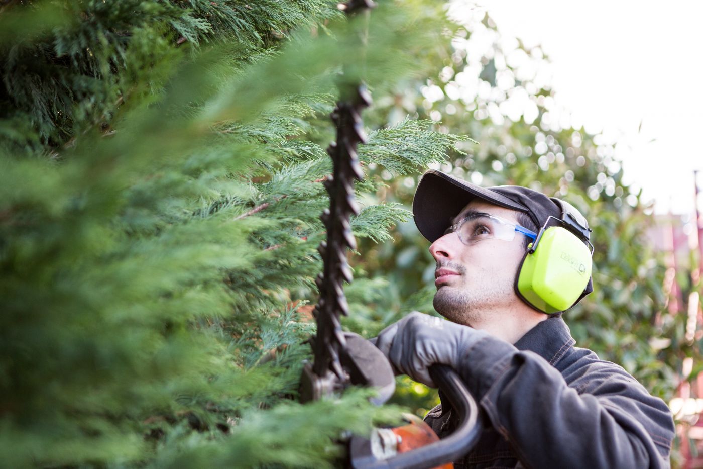 EA Espaces Verts Services (EVS) (EA), 42153 Riorges (Loire)