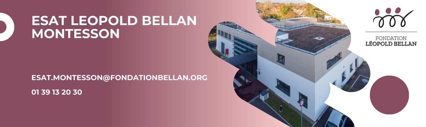 ESAT LEOPOLD BELLAN - Montesson (ESAT), 78360 Montesson (Yvelines)