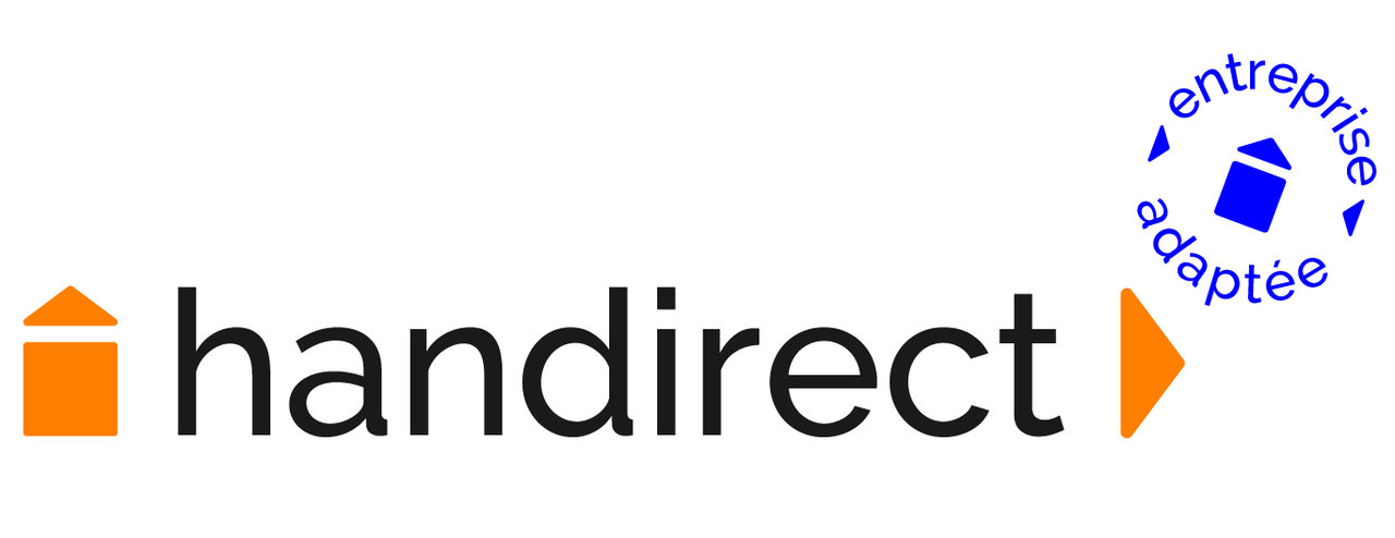 HANDIRECT SERVICES LYON (EA), 69009 Lyon 9 (Rhône)