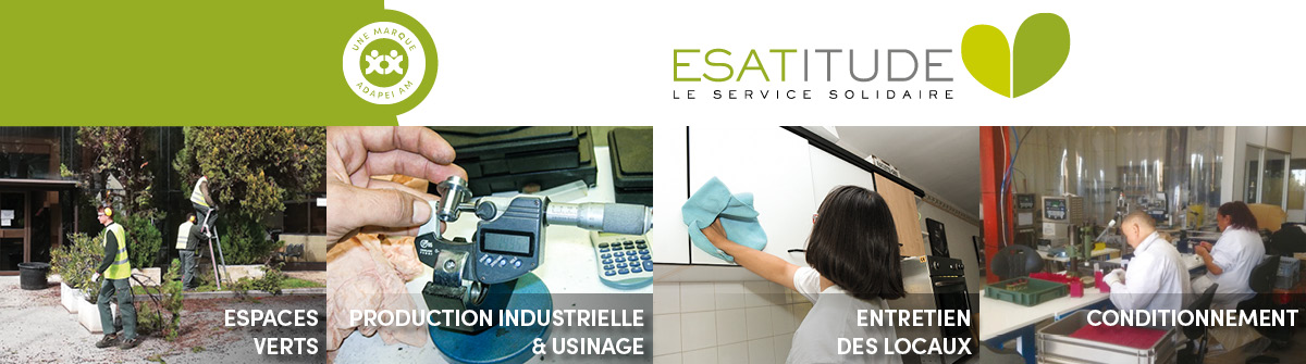 ESATITUDE NICE JEAN MEDECIN (ESAT), 06000 Nice (Alpes-Maritimes)
