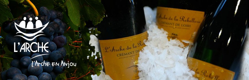 ESAT LA REBELLERIE (ESAT), 49560 Nueil-sur-Layon (Maine-et-Loire)