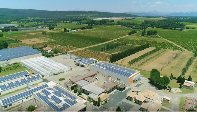 ESAT LE ROYAL (ESAT), 84100 Uchaux (Vaucluse)